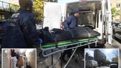 Wacko stabs roommate to death in fight over ‘living situation’ in NYC project: cops