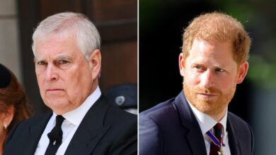 Will Prince Andrew Lose ‘Royal Protection’ Like Harry After Title Strip?