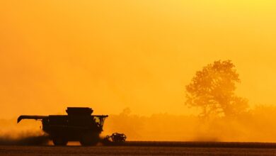 Trump administration mulling billion aid package for U.S. farmers, sources say