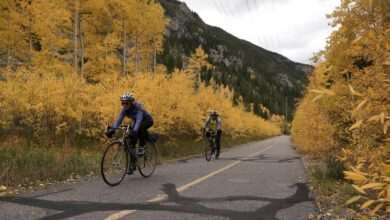 Fall foliage colors muted in several regions due to drought