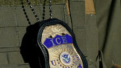 Apple removes ICEBlock app that tracks ICE agents from its App Store, developer says