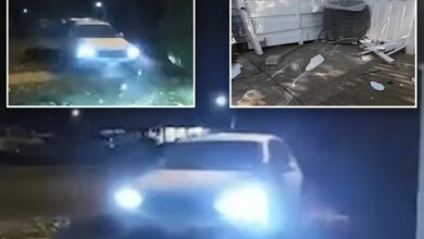 13-year-old twin sisters took parents’ car for destructive joyride through NJ nabe because they were ‘bored’: police