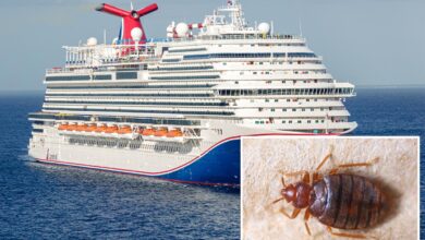 2 passengers sue Carnival Cruise Line alleging they woke up with more than 30 bites from bed bugs