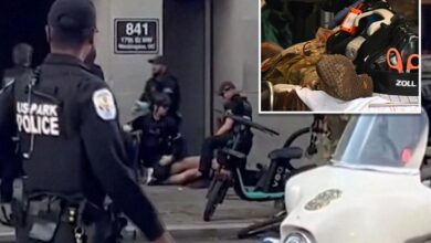 Afghan national accused of shooting 2 National Guardsmen in DC was in US illegally after overstaying visa: sources