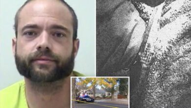 Art teacher allegedly filmed himself stabbing people on Halloween