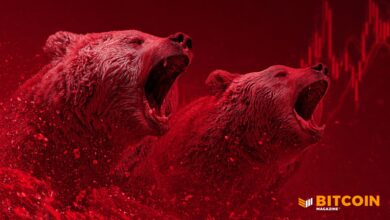 Bitcoin Price Crashes To ,000 Before Rebounding