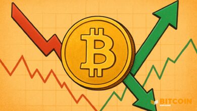 Bitcoin Price Holds 9,000 As Traders Eye November Bounce