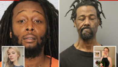 Boyfriend of Iryna Zarutska slaughtered on Charlotte train slams serial thug charged with burning woman on CTA