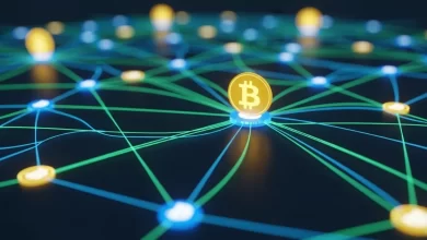 Brink Funds First Third Party Security Audit Of Bitcoin Core By Quarkslab