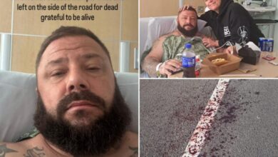 California dad Chris Davison stabbed going to Halloween fest, saved by kids using dino sticker