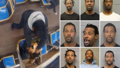 Chicago career criminal Lawrence Reed had over 70 arrests before setting woman on fire in train attack