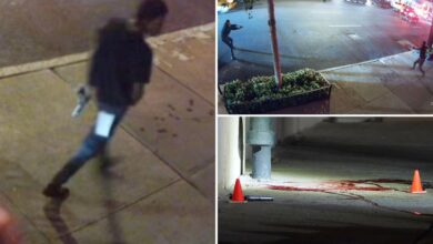 Chilling footage shows ‘Wild West’ moment NYPD cop fatally shoots gun-toting maniac