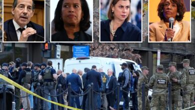 DC National Guard shooting follows months of Democrats’ stoking fear about an ‘invasion’