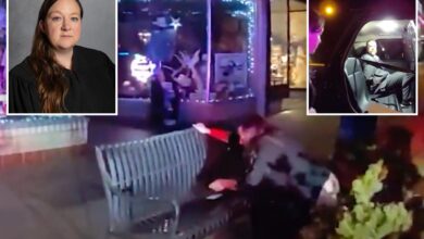 Drunk judge caught with her pants down peeing in public — as cops haul away interfering husband