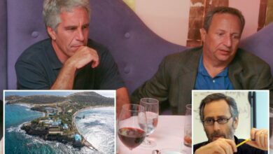 Exclusive | Larry Summers forced out of consulting gig at ‘woke’ hedge fund DE Shaw after Jeffrey Epstein scandal