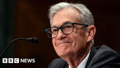 Fed cuts US interest rates again despite ‘flying blind’