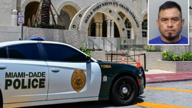 Florida man charged with killing girlfriend found in canal told friends she was detained by ICE