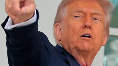 Fox News Host Delivers Harsh Truth On How Much Trump Economic Plan ‘Sucks’