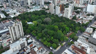 Gangs expand to nearly half the towns in the Brazilian Amazon, report finds