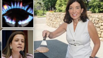 Hochul postpones gas stove ban for new homes as gov gets heat from both sides