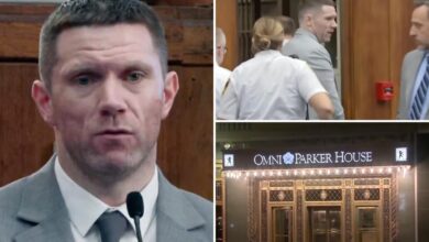 Irish firefighter who raped woman while visiting Boston St. Patrick’s Day parade sentenced to 9 years despite wife’s ‘support’