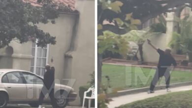 LAPD Arrests Man Who Allegedly Shot at Police Helicopter, Shooting On Video