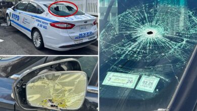 Lexus-riding vandal who allegedly smashed up, slashed tires of 11 NYPD vehicles busted, promptly cut loose in court