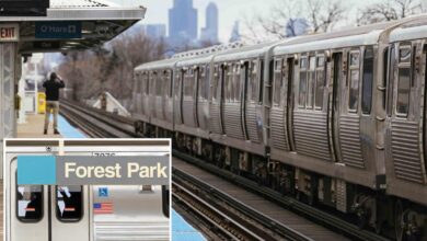 Madman torches female straphanger, 26, on Chicago train