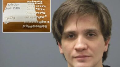 Marty McHigh! NJ driver crashes his 1980s DeLorean, is busted with 87 bags of cocaine