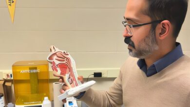 Mechanics of mucus droplets explain swift spread of infections to lungs