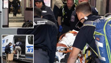 NYC mom stabbed ’50 times,’ left to die by deranged ex who lurked in NYC stairwell for hours: sources