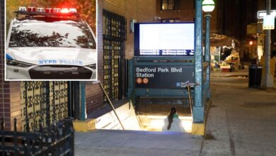 NYC straphanger stabbed on subway platform, stumbles into train car seeking help: cops, sources