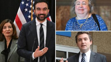 NYS Dems open up to Zohran Mamdani’s tax-hike plan as primary threats loom: ‘Sends a message’