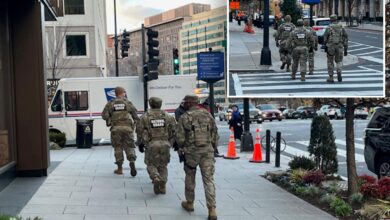 National Guard on ‘alert’ with roving patrols in DC after alleged terror suspect’s shocking ambush