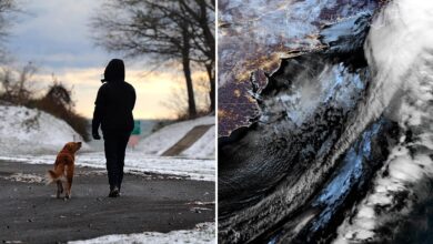 Polar vortex sends arctic blast into New York, putting tri-state under freeze warning