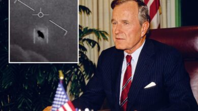 President George HW Bush ‘knew’ of 1964 alien contact with humans in New Mexico: documentary