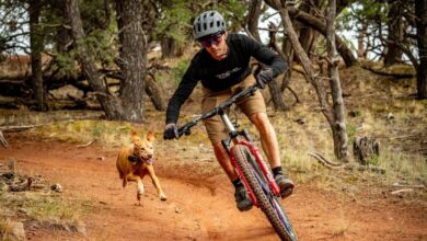 Revel Bikes founder says company is profitable after foreclosure