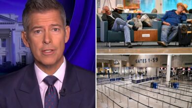 Sean Duffy warns airport delays will ‘get worse’ as the government shutdown continues