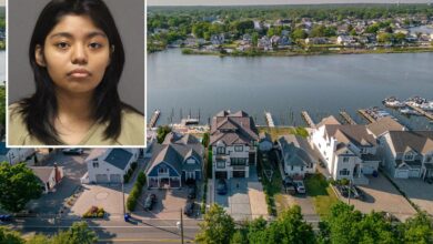 Sister, 20, stabs toddler brother — claiming voices told her to