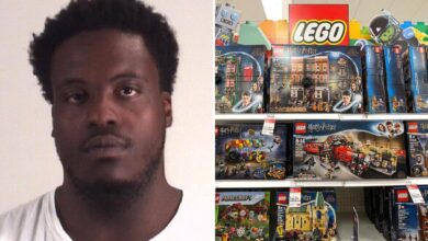 Suspect steals from nearly two dozen Target stores — supposedly just for Legos