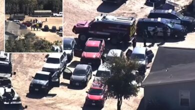 Texas landscape supply employees gunned down in shooting, suspect found dead: police