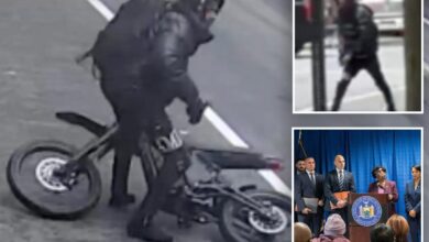 Trinitarios gang members busted on gunpoint robbery spree