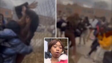 Video shows mom and kids getting brutally assaulted outside Chicago school: ‘Gut-wrenching’