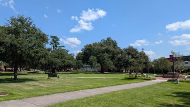 Why Liberalism – Econlib