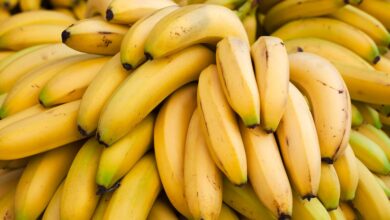 Trump cuts tariffs on beef, coffee, bananas and other food imports