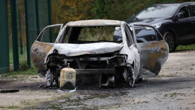 Driver in custody after intentionally striking pedestrians in France, interior minister says