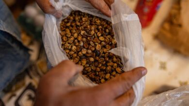 White House cuts tariffs on more goods from Brazil