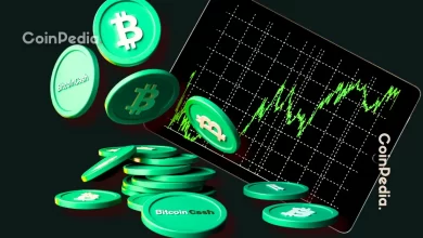 Here’s Why Bitcoin Cash (BCH) Is Up Today?