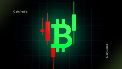 Will BTC Stabilise or Drop Further in the Next 24 Hours?