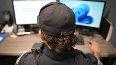 CSU Global offers artificial intelligence, machine learning degree